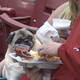 Illustration for article titled Three Good Dogs At The Reds Game